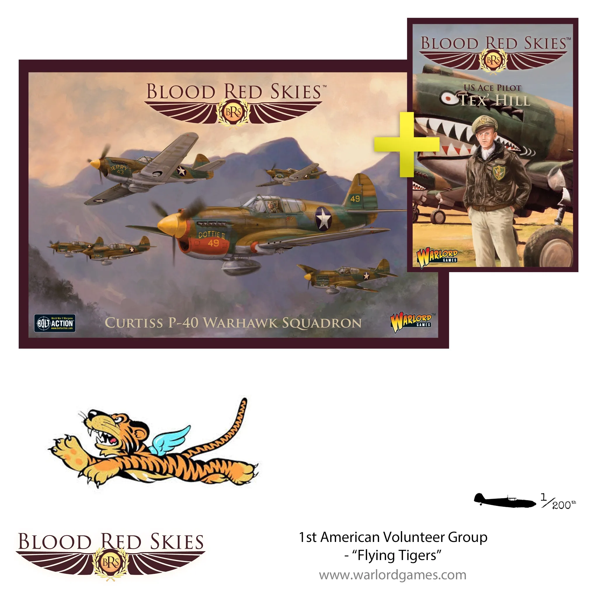 1st American Volunteer Group - "Flying Tigers", P-40 Squadron