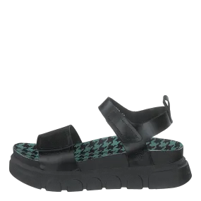 Cepa627fly Brooklyn-black