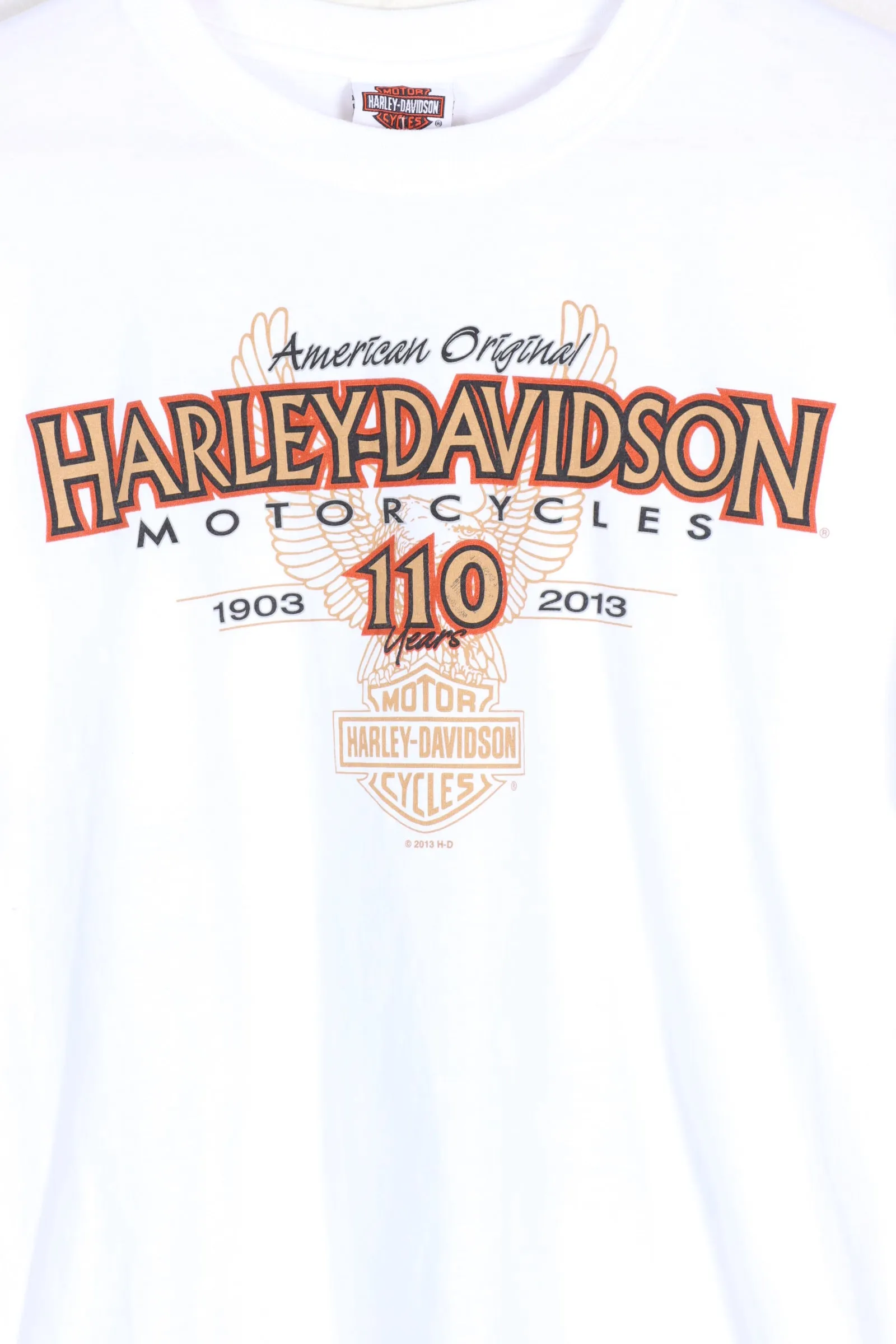 HARLEY DAVIDSON 110 Years Lighthouse Wisconsin Print Tee (M)