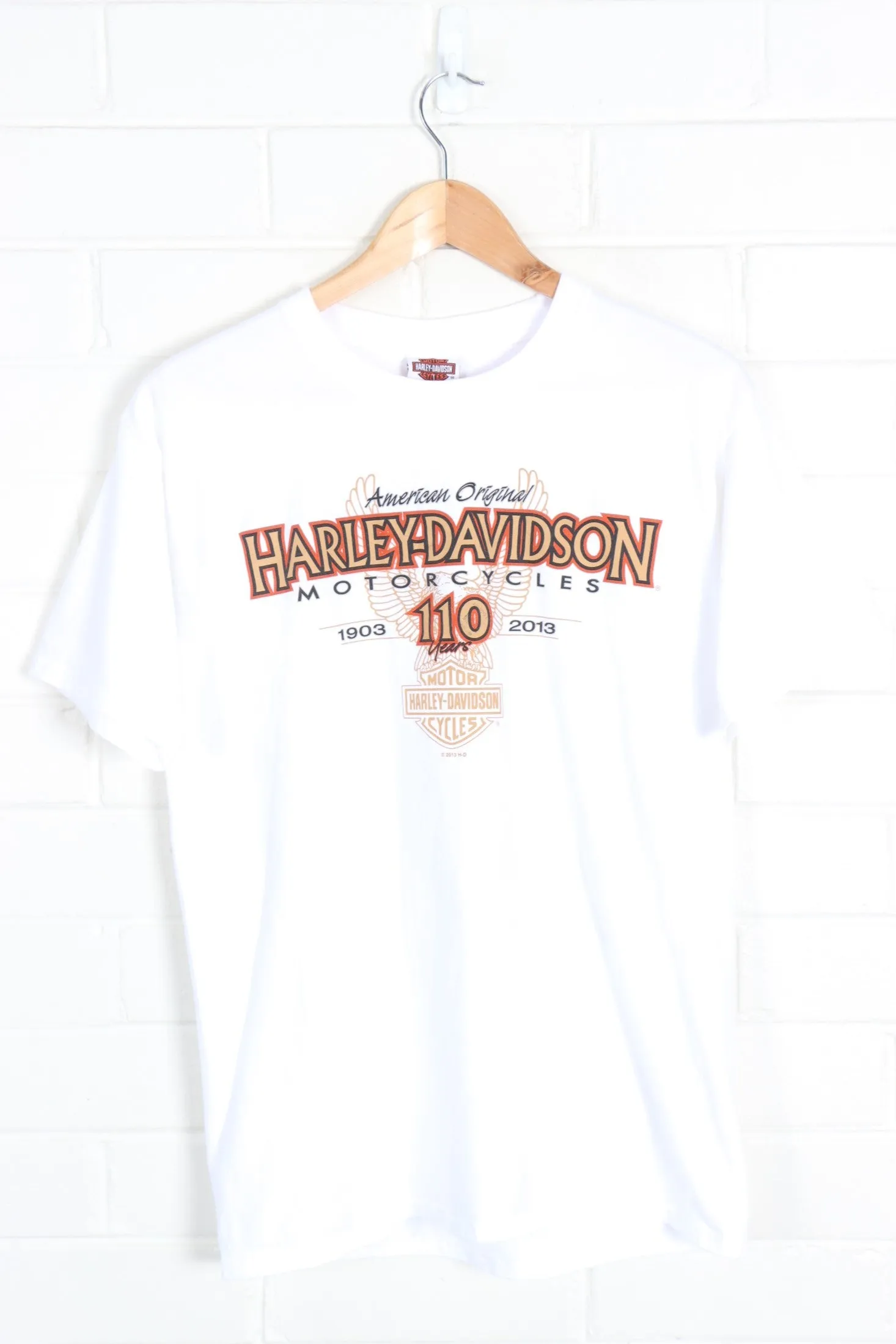 HARLEY DAVIDSON 110 Years Lighthouse Wisconsin Print Tee (M)